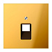 Крышка для ординарной телефонной и компютерной розетки  UAE; металл цвета золота