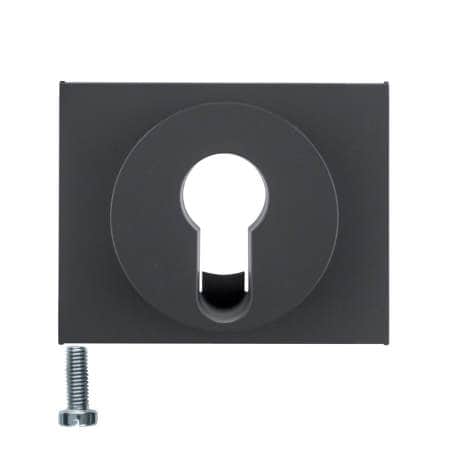 Центральная панель для замочных выключателе/кнопок, K.1, антрацитовый, матовый лак | Berker | арт. 15057006