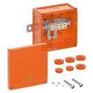 Распределительная коробка WKE 4 - Duo 5/3 x 6² | арт. 86771001 | Spelsberg  