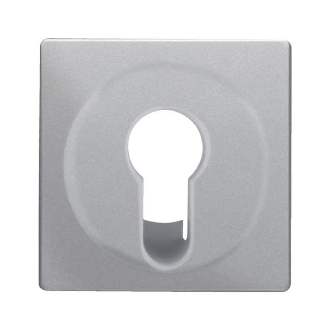 Накладка для замочных выключателей/кнопок, BERKER Q.1/Q.3/Q.7, цвет: алюминиевый, бархатный лак | Berker | арт. 15076084