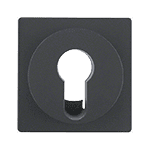 Накладка для замочных выключателей/кнопок, BERKER Q.1/Q.3/Q.7, цвет: антрацитовый, бархатный лак | арт. 15076086 | Berker  