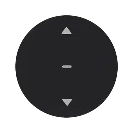 Кнопка для вставки жалюзи, R.1/R.3, черный, глянцевый | Berker | арт. 85241131
