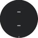 Клавишная накладка для тач-сенсора R.1/R.3 KNX, BERKER R.1/R.3, цвет: черный, глянцевый | арт. 75161865 | Berker  