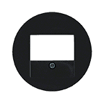 Центральная панель с вырезом TAE, R.1/R.3/R.Classic, черный, глянцевый | арт. 10382045 | Berker  