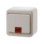 Нажимная кнопка, переключающий контакт, для наружного монтажа, с красной линзой | арт. 50069940 | Berker  