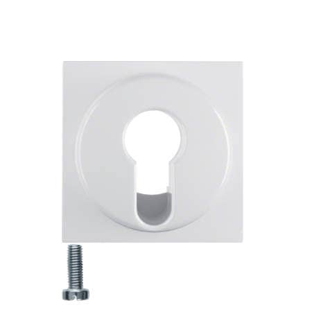 Центральная панель для замочных выключателе/кнопок, S.1, полярная белизна, глянцевый | Berker | арт. 15078989